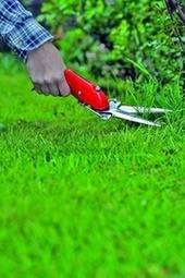 Ručné záhradnícke nožnice na trávu